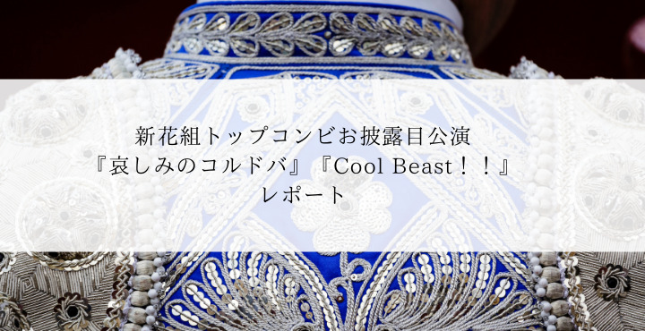 ブルーレイ 宝塚花組 哀しみのコルドバ Cool Beast!!の通販 by 